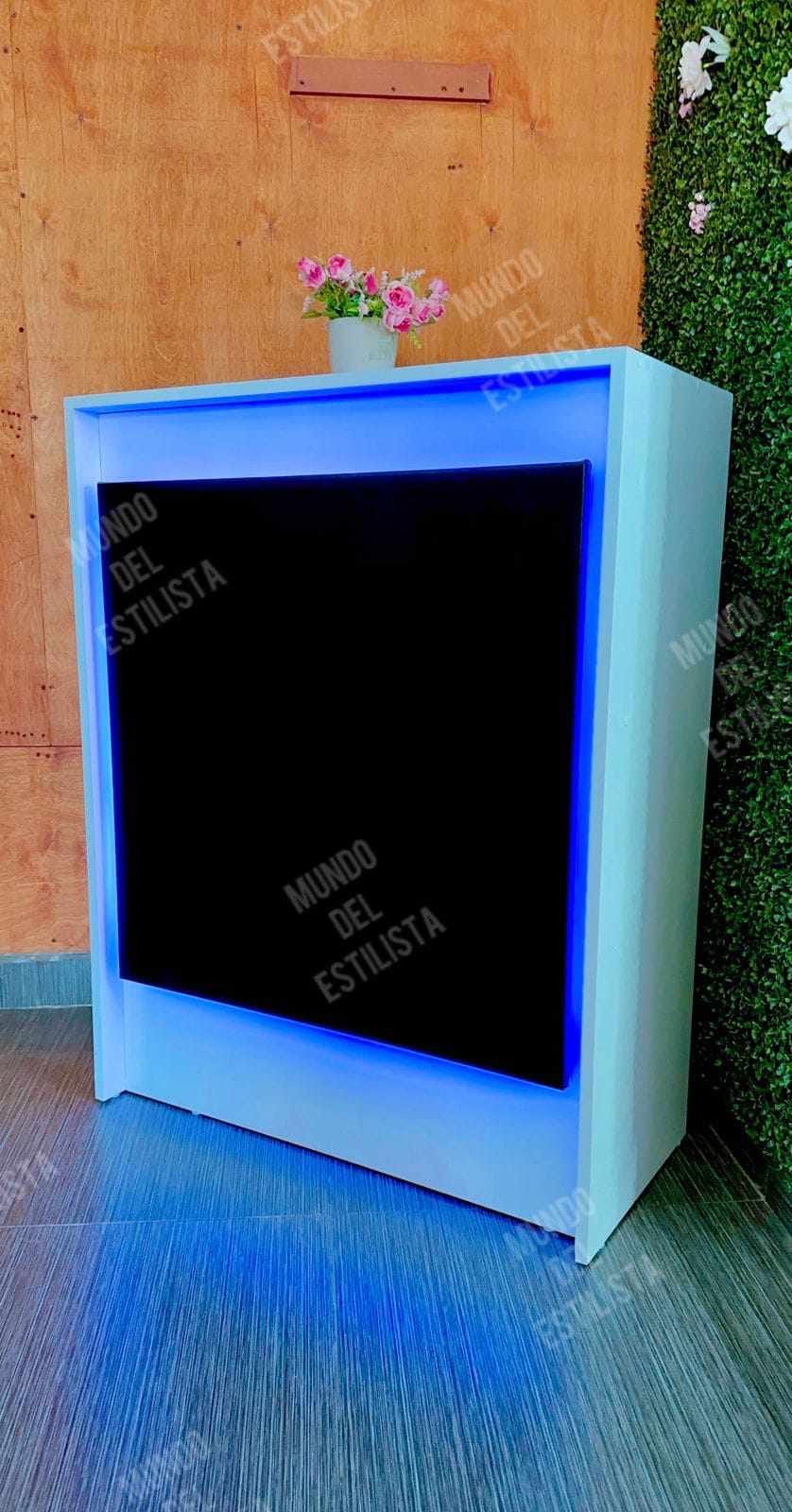 Recepcion con luz Neon